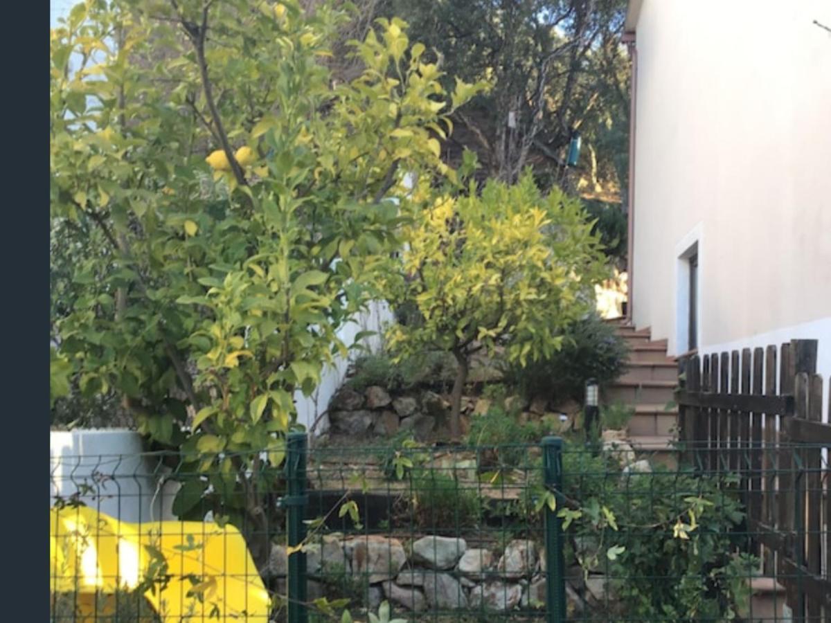 Apartament Sunny Costa Brava Getaway Santa Cristina d'Aro Zewnętrze zdjęcie